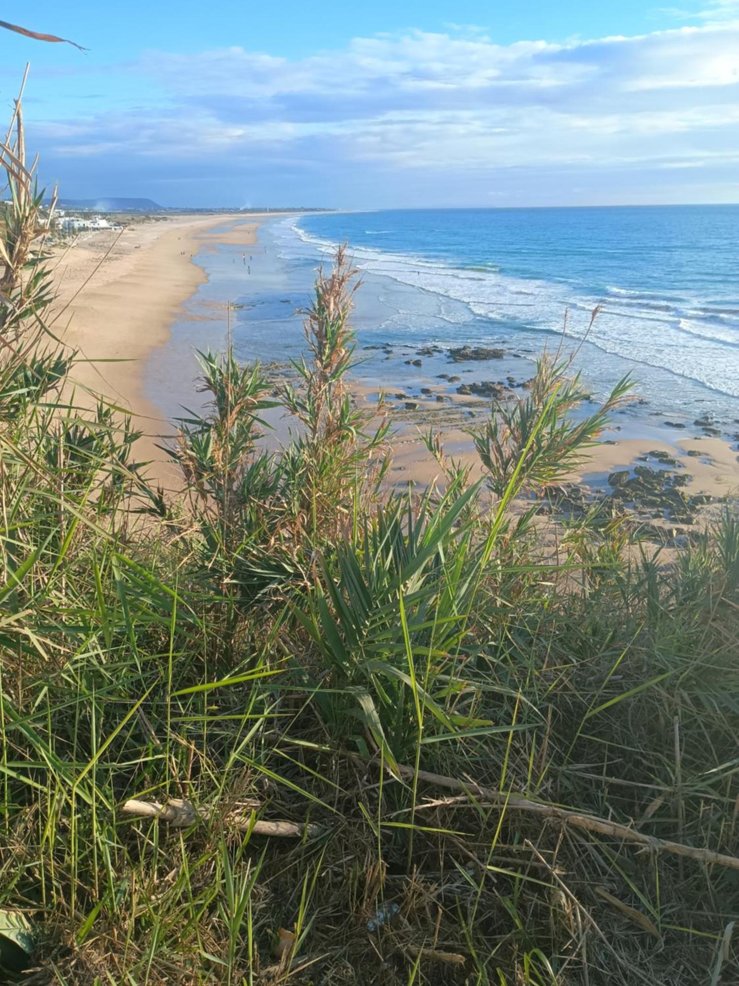 Vila La Brisa Cádiz Exteriér fotografie
